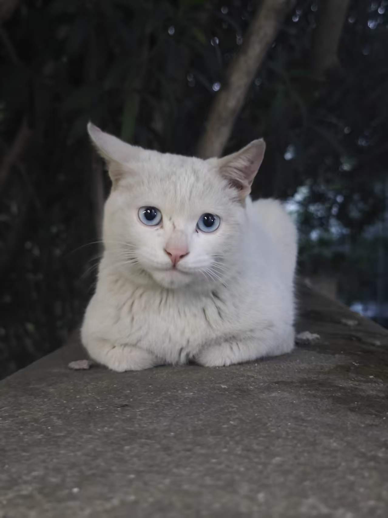 Cadence_16.6高速电路板设计与仿真.pdf